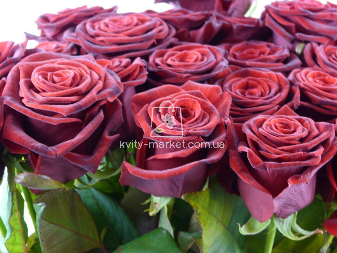 гран при опт 1 фото